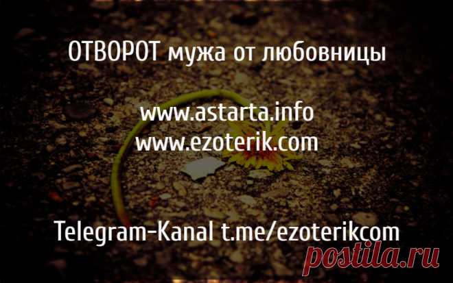 Отворот мужа от любовницы. Если вам стало известно о том, что у вашего мужа появилась постоянная любовница, но вы хотите сохранить ваш брак, то пока не стало слишком поздно, попробуйте прибегнуть к магическому ритуалу, такому как отворот мужа от любовницы. Отворот мужа от любовницы важно проводить в ночь убывающей луны.