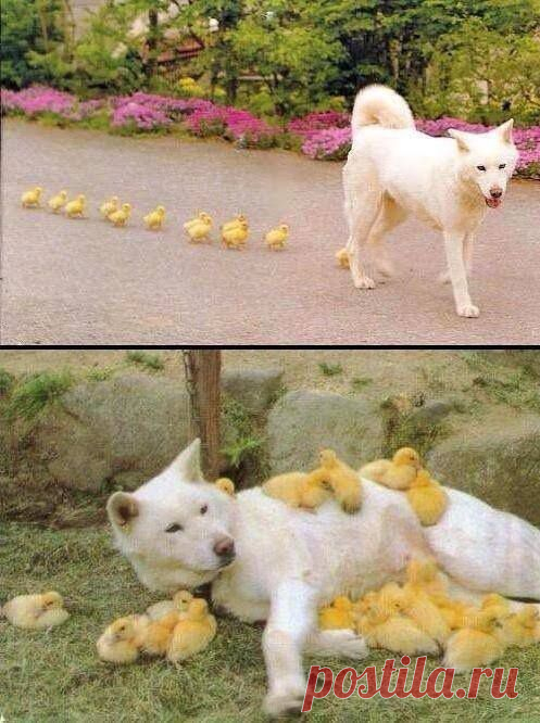 Google+