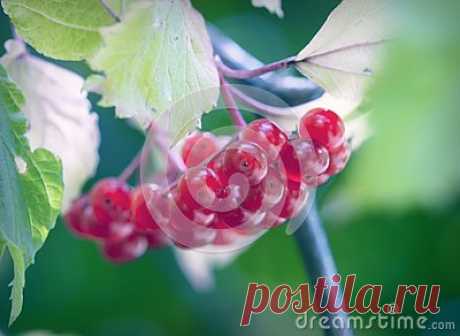 Stock Photos And Royalty-Free Images By Dreamstime