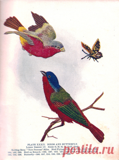 Belding Brothers XXXII