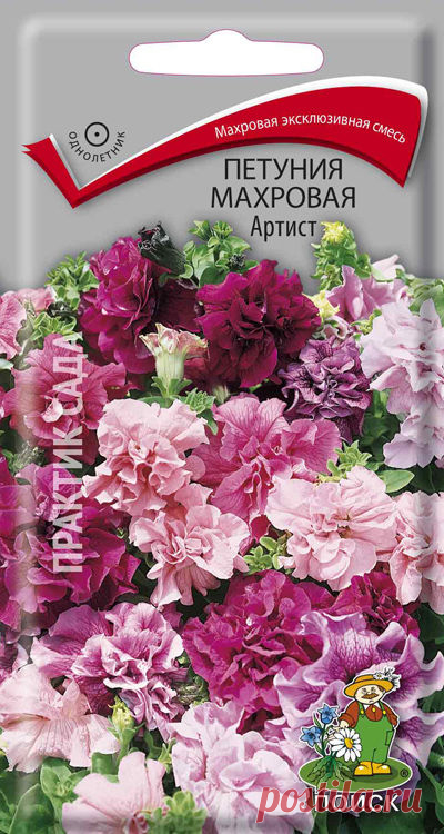 Петуния махровая "Артист"