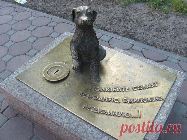 Призыв к милосердию...