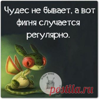 Анекдоты о разном. Демотиваторы ъ Почему жизнь все время дорожает?     - Она не является предметом первой необходимости. Твоя жизнь прошла зря, если ты никогда не мяукал коту в ответ.Почему коты умнее людей: Человек. 1 жизнь.:( «В ж...