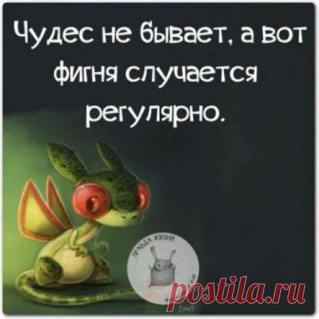 Анекдоты о разном. Демотиваторы ъ Почему жизнь все время дорожает?     - Она не является предметом первой необходимости. Твоя жизнь прошла зря, если ты никогда не мяукал коту в ответ.Почему коты умнее людей: Человек. 1 жизнь.:( «В ж...