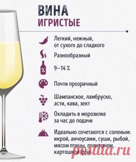 Полезный ликбез, как разбираться в вине
