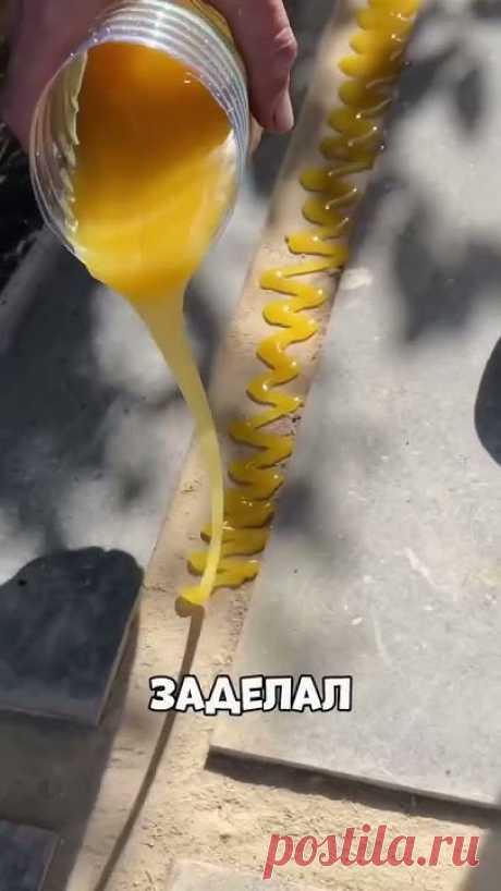 Озеленение вашего участка 🔥