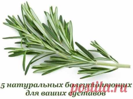 5 НАТУРАЛЬНЫХ БОЛЕУТОЛЯЮЩИХ ДЛЯ ВАШИХ СУСТАВОВ
Мы привыкли тянуться за болеутоляющим каждый раз, когда что-то доставляет неприятные ощущения. Немало неприятностей причиняет воспаление коленного сустава, боли в пальцах рук или ног. Не бегите сразу за но-шпой, ибупрофеном или анальгином, чтобы не накапливать в организме лишние химикаты. Вместо этого попробуйте воспользоваться одним из этих природных обезболивающих.
1. Розмарин
Розмарин — приправа, которой сегодня никого не у...