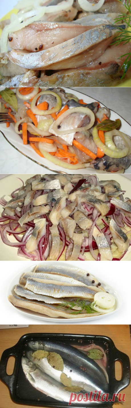 Как посолить селедку в домашних условиях вкусно и быстро