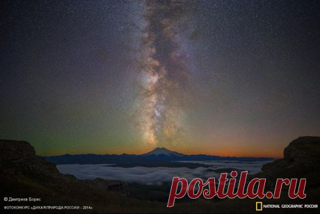 Лучшие фотографии дикой природы России