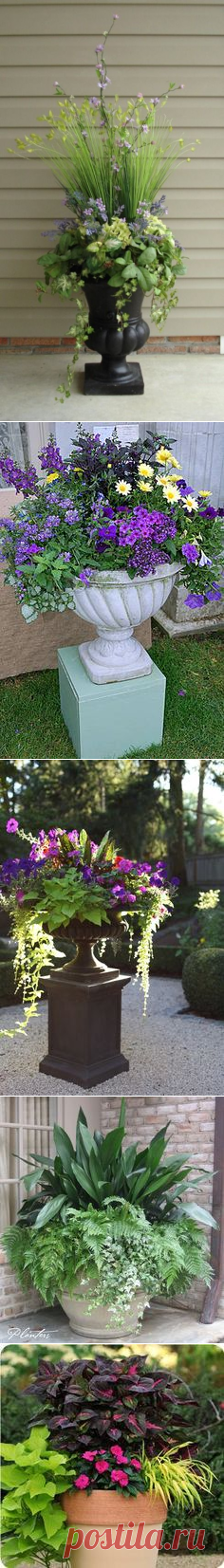 Оформление входа в дом контейнерами с цветами