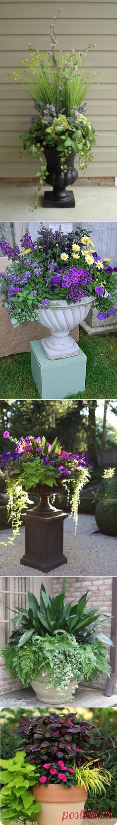 Оформление входа в дом контейнерами с цветами