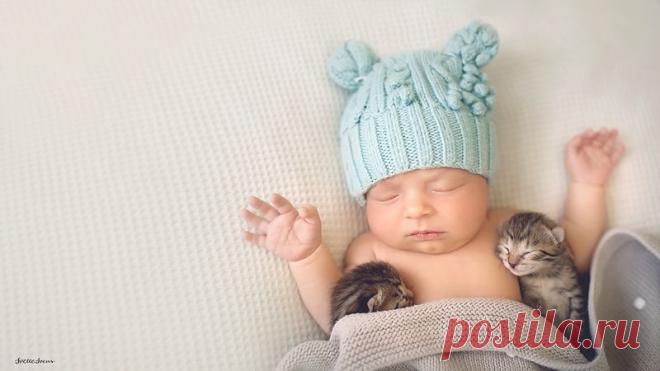 Пост немыслимой милоты детенышей — человеческих и не только!