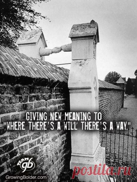Growing Bolder - Timeline Photos