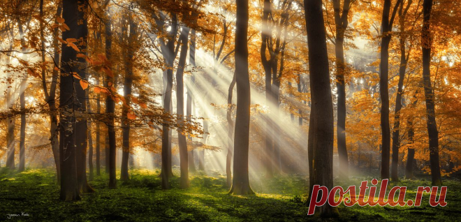 The Rays Of The Autumn