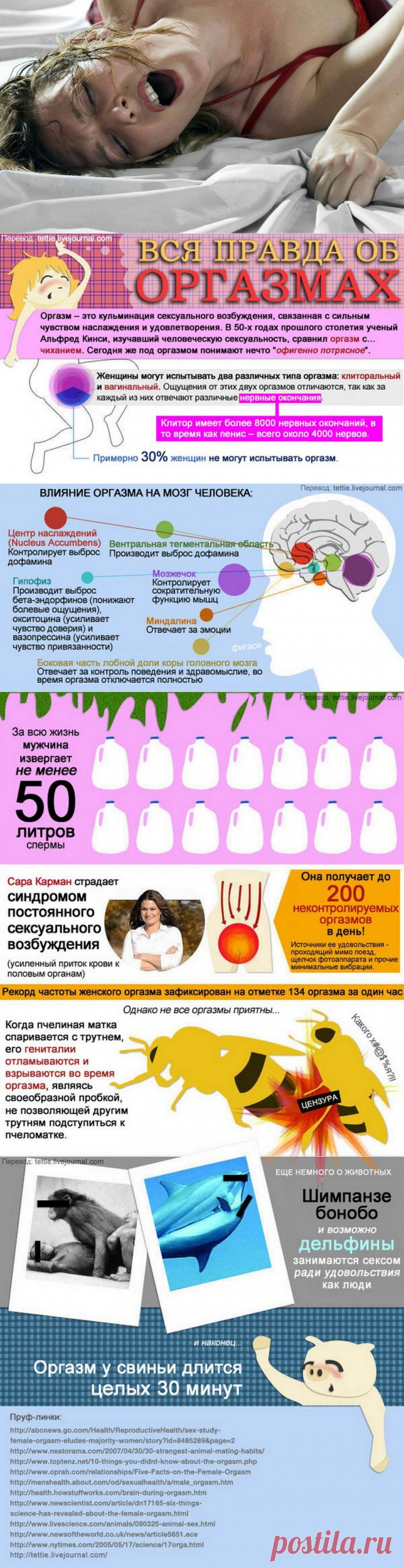 Кое-что об оргазмах