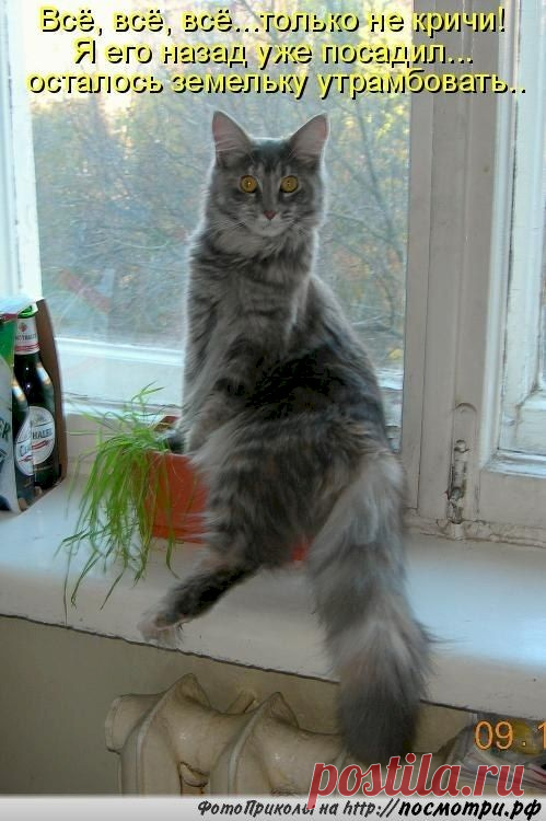 4339dd04.jpg (499×750)