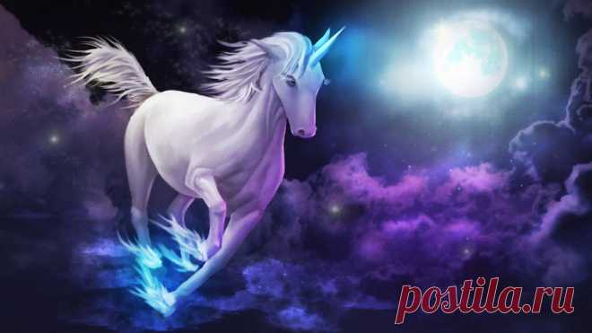 Download Unicorn Wallpaper Over 50+ high-definition Unicorn wallpapers for free download! Customize your desktop, mobile phone and tablet with our Unicorn wallpapers now!