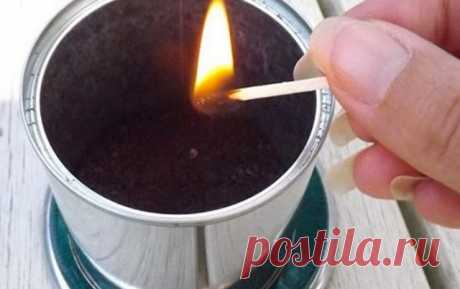 Простой и дешевый способ избавиться от комаров / Как сэкономить