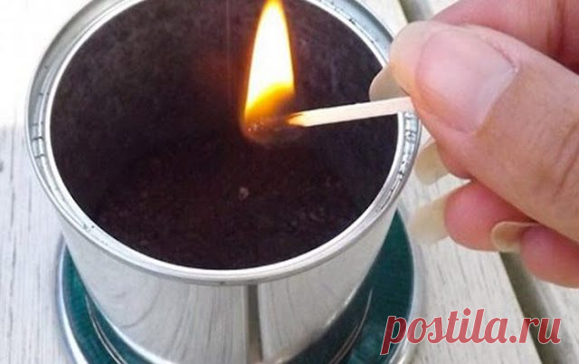 Простой и дешевый способ избавиться от комаров / Как сэкономить