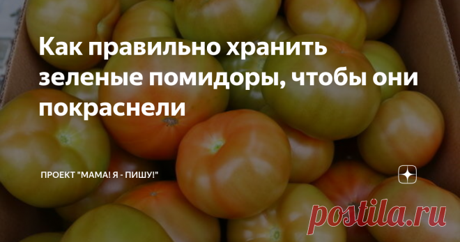 Как правильно хранить зеленые помидоры, чтобы они покраснели