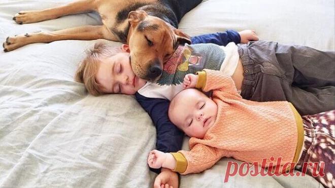 Куда правильно спать головой — все секреты здорового сна Куда правильно спать головой — все секреты здорового сна
Каждый хоть один раз в жизни задавался вопросом «Куда спать головой правильно»?
Чаще всего это те люди, которые недавно сменили свое место жите...