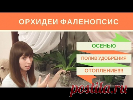 Орхидеи Фаленопсис Осенью: Уход, Полив, Удобрение, Батареи