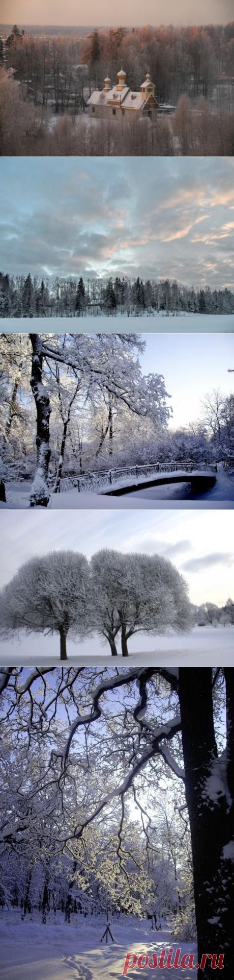 Пусть будет снег. Пусть будет белый иней !