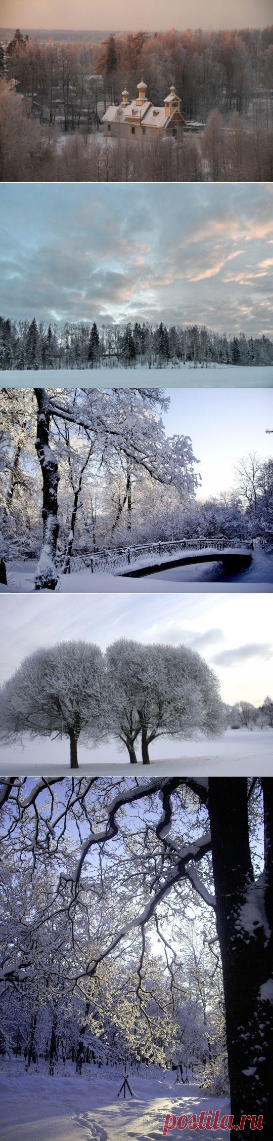 Пусть будет снег. Пусть будет белый иней !