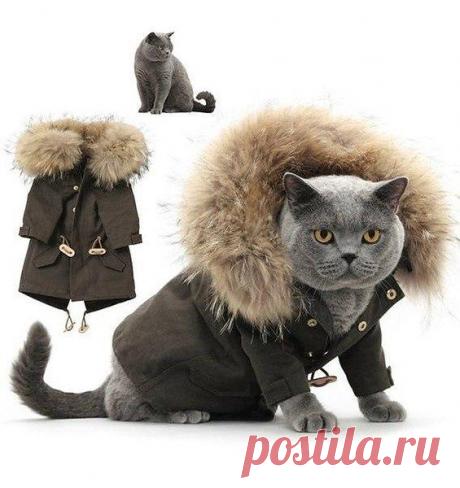 Интересные новости