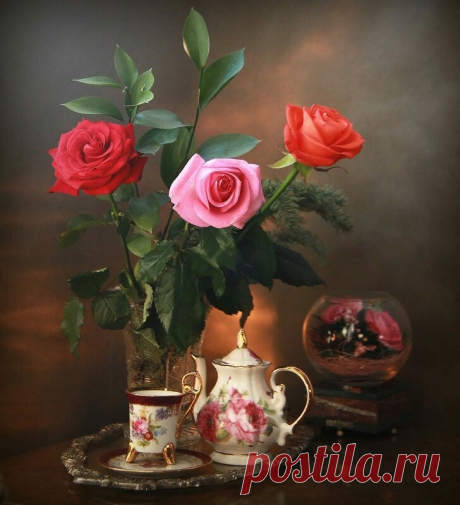 Красота Нашего Мира