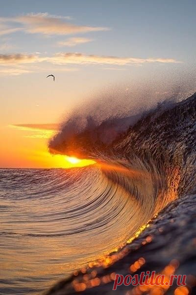 (21) Pinterest