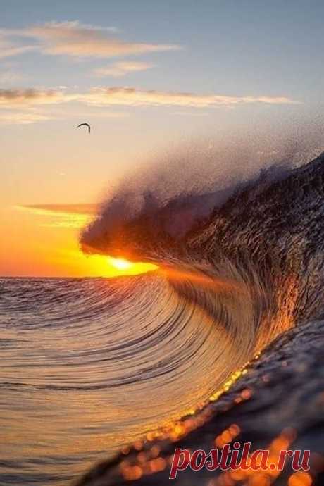 (21) Pinterest