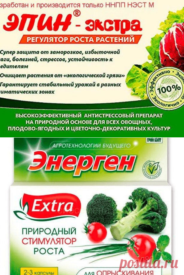 Чем опрыскать огурцы для завязи: народные средства и не только