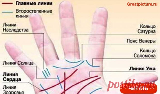 Профессия написана на вашей ладони. Не могу не согласиться с этим!