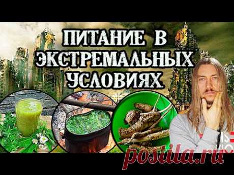 Короновирус: Целебная еда по ногами. Питание в экстремальных условиях.