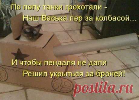 Ольга Богомолова