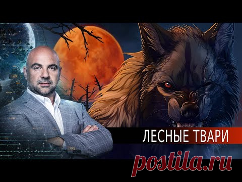 Лесные твари. «Как устроен мир