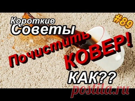 Как почистить КОВЕР? БЫСТРАЯ и эффективная ЧИСТКА ковра в домашних условиях!