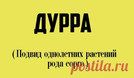 12 странных слов, которые и правда есть в русском языке | KaifZona.Ru