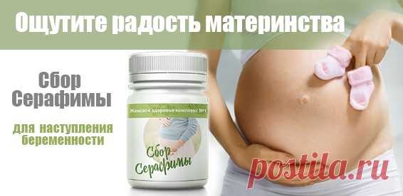 Каждый день новые рецепты