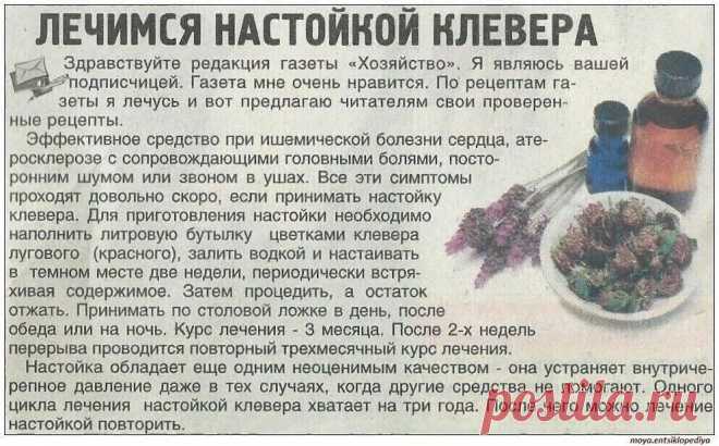 JGqKLErkzaE.jpg (994×618)