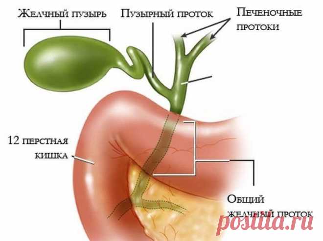Желчный пузырь: Симптомы перегиба