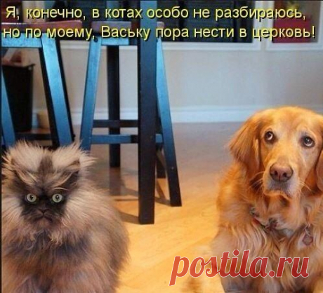 Вы мамочка в декрете? Студент? Или просто вам срочно нужен дополнительный заработок, но не знаете где его взять? У меня есть к Вам отличное предложение! Работа онлайн не выходя из дома! Все подробности на сайте.