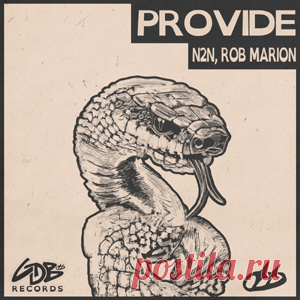 N2N, Rob Marion - Provide (Extended) | 4DJsonline.com