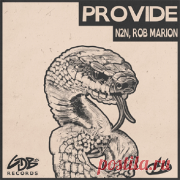 N2N, Rob Marion - Provide (Extended) | 4DJsonline.com