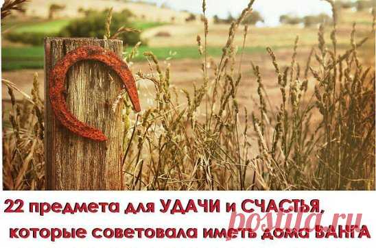 1. МЕД
Ванга говорила: «Мед в доме — достаток в доме. Издавна существует поверье, что особенно любят баловаться медом домовые. Это такие невидимые существа, которые охраняют покой и уют в вашем доме.
2. ПОДКОВА У ВХОДА НА СЧАСТЬЕ
Первый предмет, который Ванга мудрая назвала, был подкова. Сказала она: «Держи подкову у входа на счастье, и удача в твой дом дорогу найдет, удача всегда на коне, а коню известно, что нужно, — подкова».
3. ФИНИКОВАЯ ПАЛЬМА И ВЕРБА
Знаменитая баба Ванга говорила: «Паль