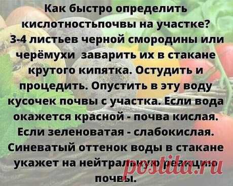 #полезныесоветы