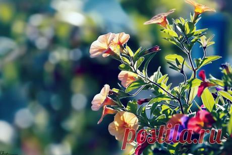 s-3999.jpg (1200×800)