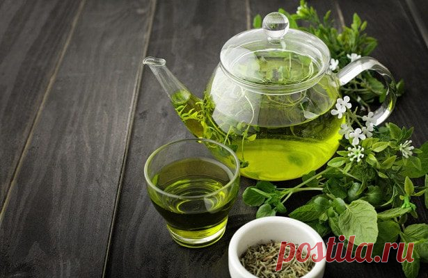 Самые мощные травы для женского здоровья