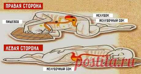 1https://fithacker.ru/articles/pomnite-vsegda-spite-na-levom-boku-vot-pochemu/